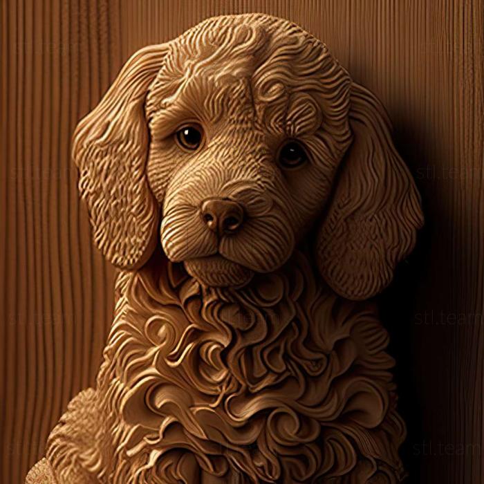 3D model Boy poodle famous animal (STL)
